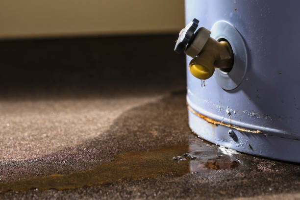 Best Water damage restoration near me  in Rankin, TX