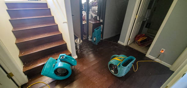 Best Water damage restoration company  in Rankin, TX