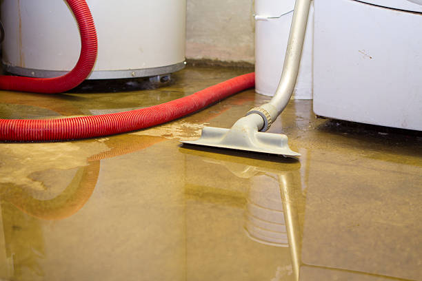 Best Water damage contractors near me  in Rankin, TX